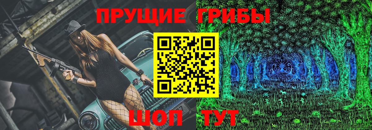 купить наркоту  Псилоцибиновые грибы Cubensis  Вход с VPN  Сафоново  Галлюциногенные грибы Cubensis 