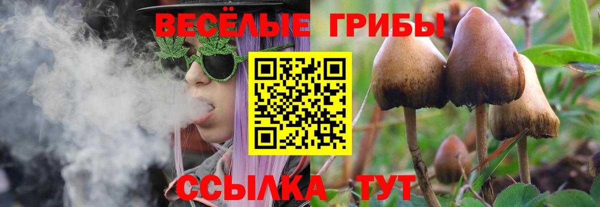 Псилоцибиновые грибы прущие грибы Сафоново